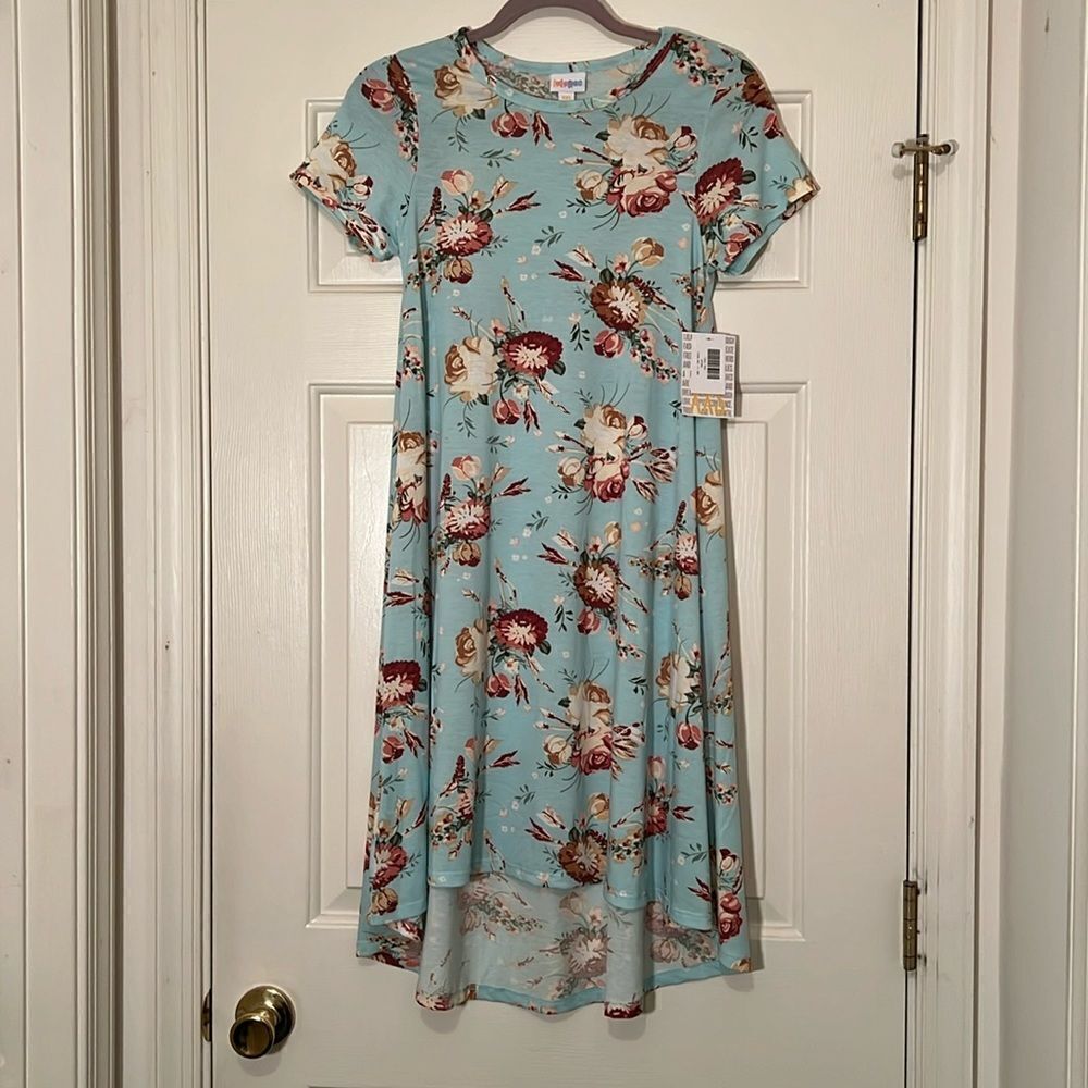 NWT LulaRoe Carly Dress
